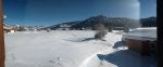 IMG_20170106_095147539.jpg