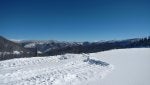 IMG_20170106_104603336.jpg